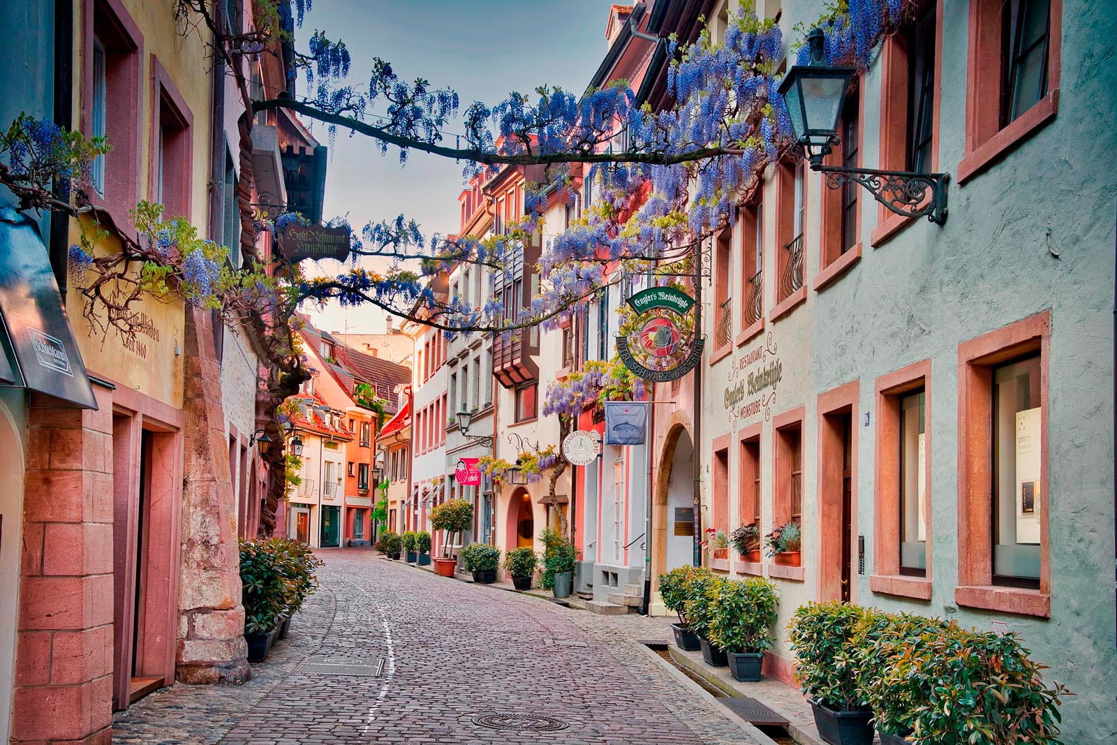 1 alsace